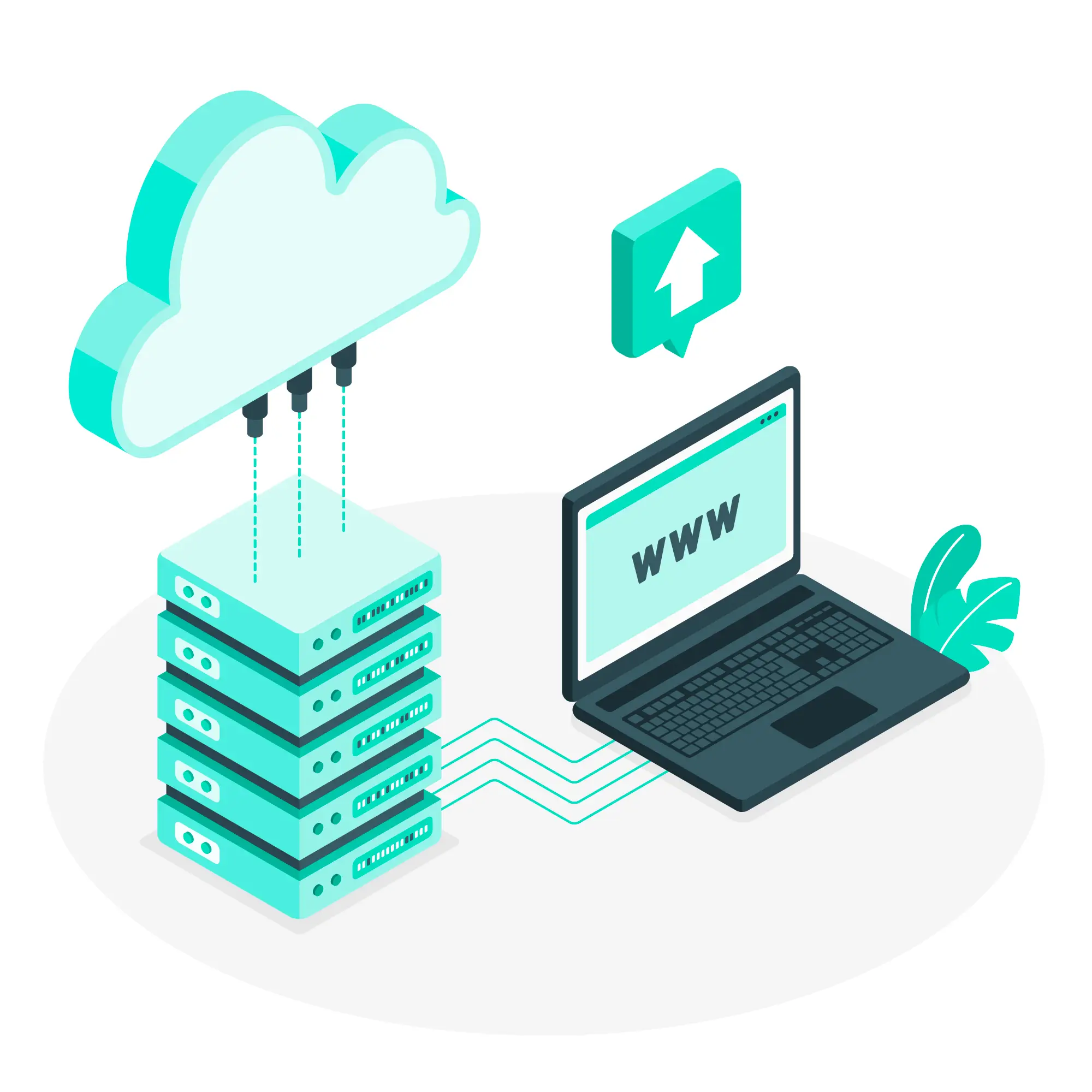 Jak zmienić DNS na Windows, MacOS, Linux, Router, Android, iOS
